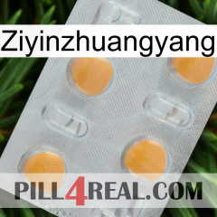 Ziyinzhuangyang 24